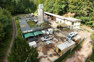 Haus kaufen in 67468 Frankenstein, EFH mit Gewerbefläche zur landwirtschaftlichen Nutzung mit Tierhaltung