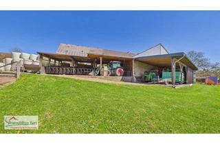 Bauernhaus kaufen in 54450 Freudenburg, RENOVIERTES BAUERNHAUS / SCHEUNEN / STALLUNGEN / 40 AR AREAL!