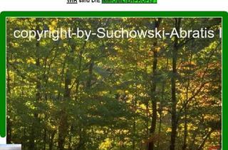 Grundstück zu kaufen in 15926 Luckau, *** Kiefernwald ***