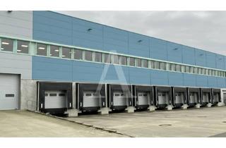 Gewerbeimmobilie mieten in 50170 Kerpen, LOGISTIKHALLE IN KERPEN | TEILBAR | MIETE | HOCHMODERN | BIS 12 M UKB | ANGERMANN NRW