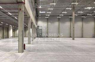 Gewerbeimmobilie mieten in 82140 Olching, Logistikhalle mit Rampentoren - direkt an der A8
