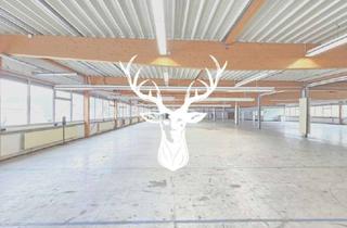 Gewerbeimmobilie mieten in 78564 Wehingen, Großzügige Gewerbefläche in Top-Lage von Wehingen zu vermieten