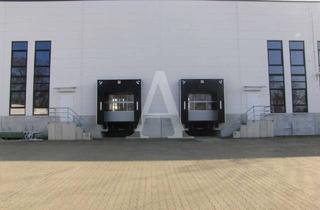 Gewerbeimmobilie mieten in 50226 Frechen, LOGISTIKHALLE IN FRECHEN | MIETE | TEILBAR | RAMPE & EBENERDIG | ANGERMANN NRW