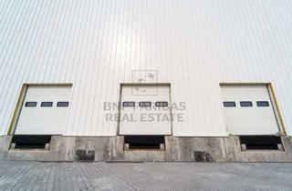 Gewerbeimmobilie mieten in 50169 Kerpen, Lagerhalle mit Rampenandienung und Autobahnnähe // Anmietung über BNPP RE