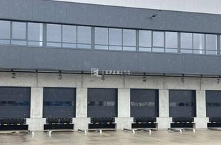 Gewerbeimmobilie mieten in 47877 Willich, Gefahrgut / Regaliert / Sofort