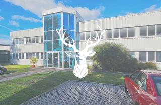 Gewerbeimmobilie kaufen in 79787 Lauchringen, Großzügiges Gewerbeareal in bester Industrielage von Lauchringen zu verkaufen