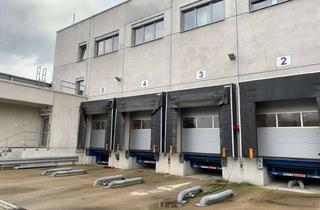 Gewerbeimmobilie mieten in 56727 Mayen, Paletten-Hochregallager mit Rampenandienung