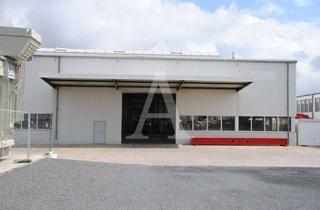 Gewerbeimmobilie mieten in 53842 Troisdorf, LAGERHALLE IN TROISDORF | EBENERDIG | MIETE | ANGERMANN NRW