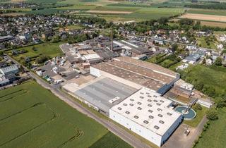 Gewerbeimmobilie mieten in Adolf-Halstrick-Straße, 53881 Euskirchen, Gewachsener Hallenkomplex mit flexiblen Nutzungsmöglichkeiten in Euskirchen