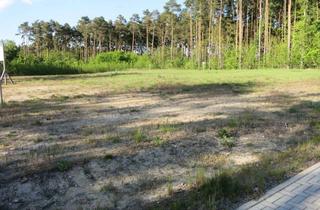 Grundstück zu kaufen in 15864 Wendisch Rietz, Wendisch Rietz b. Bad Saarow– nur noch 5 Grundstücke, ILB-förderfähig, ideal für ROSTOW Massivhaus
