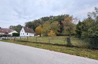 Grundstück zu kaufen in 84056 Rottenburg, Idyllisches Grundstück mit perfekter Infrastruktur und Naturverbundenheit in Pattendorf
