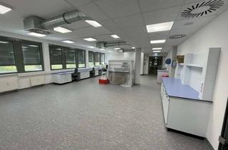 Gewerbeimmobilie mieten in Friedrich-Ebert-Str 75, 51429 Bergisch Gladbach, Vielseitig nutzbare Laborfläche im Technologiepark - PROVISIONSFREI