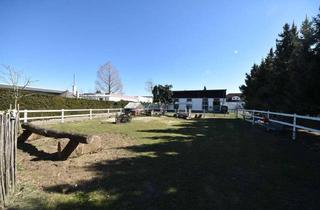 Immobilie kaufen in 64832 Babenhausen, DIETZ: **RESERVIERT** Platz Für Ross und Reiter! Wohnhaus + Gewerbegebäude mit 6 Pferdestallungen