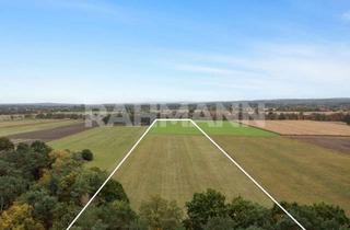 Gewerbeimmobilie kaufen in 21444 Vierhöfen, Ackergrün