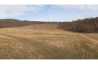 Gewerbeimmobilie kaufen in 06295 Lutherstadt Eisleben, Landwirtschaftsfläche, Gehölz, Wald in Eisleben; Mindestgebot: 70.000 €; Einzelheiten s. Exposee!!