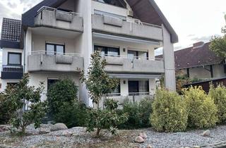 Wohnung mieten in Walpurgastraße 11, 68519 Viernheim, Große und helle Maisonette Wohnung in ruhiger Umgebung