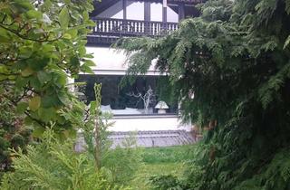 Wohnung mieten in 65795 Hattersheim, Provisionsfreie, gepflegte 2-Zimmer Dachgeschosswohnung in Hattersheim am Main