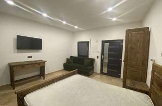 Wohnung mieten in 83395 Freilassing, Kompakt und gemütlich: "Möblierte 1-Zimmer Wohnung Freilassing!"