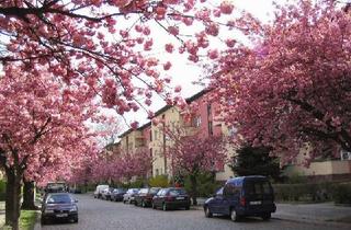 Wohnung mieten in Kraetkestraße 35, 10315 Friedrichsfelde, Sonniger Balkon gewünscht?
