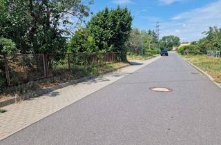 Villa kaufen in 16348 Wandlitz, Moderne Stadtvilla in schöner Siedlungslage in Lindenberg