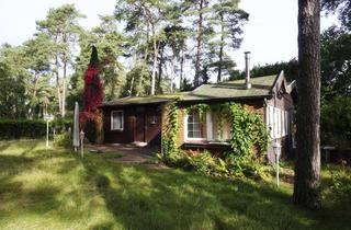 Haus kaufen in 48480 Lünne, Idyllisches Ferienhaus mit viel Potenzial