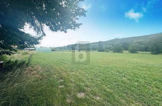 Grundstück zu kaufen in 86850 Fischach, FRISCHE UND NATÜRLICHKEIT