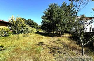 Grundstück zu kaufen in 16515 Oranienburg, Großzügiges Baugrundstück mit Potenzial – perfekt für Ihr Einfamilienhaus!