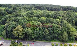 Grundstück zu kaufen in 98574 Schmalkalden, Großzügiges Grundstück zur vielfältigen Nutzung zu verkaufen.