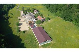 Immobilie kaufen in 73054 Eislingen, Reitanlage Pferdehof Gutachten provisionsfrei Traumlage bei Stuttgart