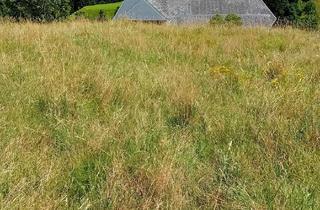 Immobilie kaufen in 79674 Todtnau, Entwicklungsfläche in Todtnau-Präg zu verkaufen