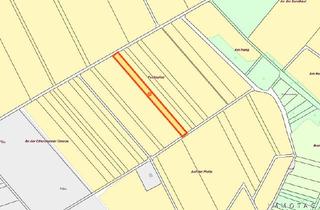 Immobilie kaufen in 67308 Ottersheim, BIETERVERFAHREN - PROVISIONSFREI für Käufer -Landwirtschaftsfläche aus Nachlass