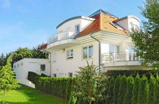 Einfamilienhaus kaufen in 70794 Filderstadt, Filderstadt-Harthausen - Wohnen, Arbeiten, Vermieten - vielseitiges Einfamilienhaus mit Einliegerwohnung in Bestlage