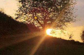 Haus kaufen in 57462 Olpe, Olpe - ReihenmittelhausKernsaniert