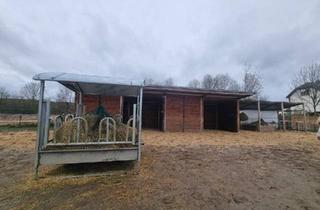 Einfamilienhaus kaufen in 15306 Seelow, Seelow - Einfamilienhaus saniert mit Offenstall