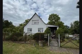 Einfamilienhaus kaufen in 06862 Dessau-Roßlau, Dessau-Roßlau - Einfamilienhaus in Neeken (Dessau Roßlau)