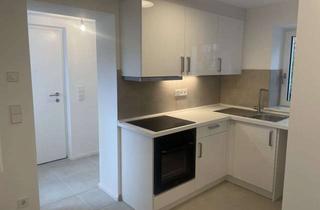 Wohnung mieten in 70197 West, Neu energetisch sanierte 1-Zimmer-Souterrainwohnung mit kleiner Terrasse – Stuttgar-West