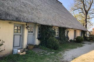 Wohnung mieten in Friedensstraße 15, 19306 Brenz, Charmante 4-Zimmer-Wohnung im Reetdachhaus mit Terrasse, Garten & Obstbäumen in Alt-Brenz