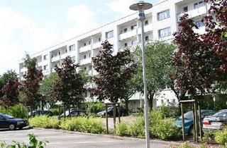 Wohnung mieten in Kräpeliner Wende 2 a, 17491 Schönwalde I / Südstadt, schöner Blick in die Ferne