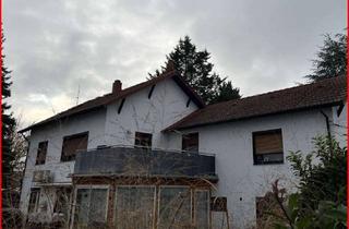 Wohnung mieten in 68642 Bürstadt, Wohnen im Grünen!