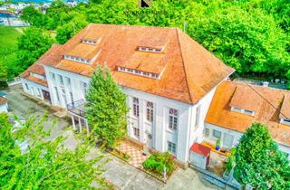 Haus kaufen in 77948 Friesenheim, Wohnanlage mit drei Häusern und über 7% Rendite sowie mit eigener Quelle zu verkaufen