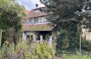 Haus kaufen in 72131 Ofterdingen, Nix für Stümper & Murkser: Sanierungsbedürftiges Haus sucht Bauprofi... aber das Grundstück ist