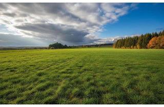 Immobilie kaufen in Steinerne Brücke, 95111 Rehau, Grünland in Rehau, Landkreis Hof