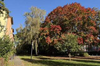 Wohnung kaufen in Otto-Speckter-Straße 45, 22307 Barmbek-Nord, Gut geschnittene, ruhige, helle Wohnung nahe dem Stadtpark