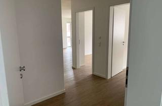 Wohnung mieten in Hauptstraße 42, 69427 Mudau, attraktive 3-Zimmer-Wohnung mit Einbauküche in Mudau