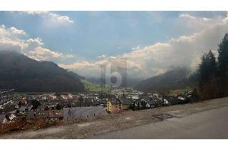 Grundstück zu kaufen in 77709 Wolfach, RUHIG UND NATURNAH MIT POSTKARTENPANORAMA