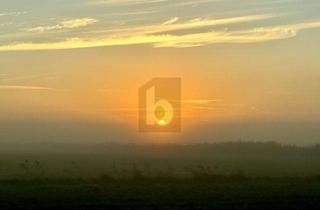 Anlageobjekt in 18375 Ostseebad Prerow, TOP INVESTITIONSOBJEKT IN RUHIGER IDYLLE