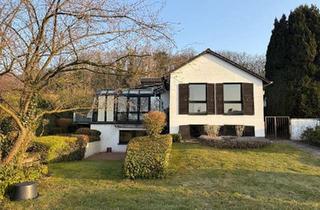 Villa kaufen in 31789 Hameln, Hameln - Lichtdurchflutete Villa direkt am Wald, Klütsüdhang