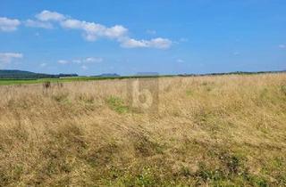 Grundstück zu kaufen in 54534 Großlittgen, Großlittgen - IHR WEG ZUM EIGENHEIM IN IDYLLISCHER EIFFELLAGE