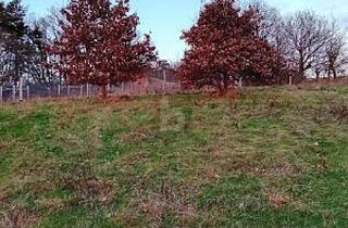 Grundstück zu kaufen in 54538 Kinderbeuern, Kinderbeuern - BAUEN MIT BLICK INS ALFTAL