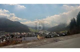 Grundstück zu kaufen in 77709 Wolfach, Wolfach - RUHIG UND NATURNAH MIT POSTKARTENPANORAMA